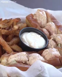 86 reactions · 37 shares | Put some flavor in your vacation with Amelia Island's Shrimp Days of Summer! Known as the birthplace of modern shrimping, Amelia Island serves up delicious shrimp prepared in a variety of ways. Learn more: https://bit.ly/2SBDqyH  | Amelia Island | Facebook