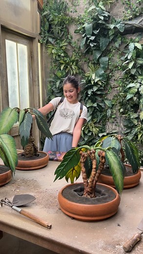 Sofi Manassyan on Instagram: "What reading books feels like. Are you an HP fan? Comment your Hogwarts house!"