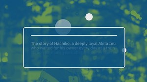 Ara Akitas dangerous dogs?