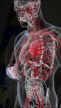 How Does The Lethal Injection Work?