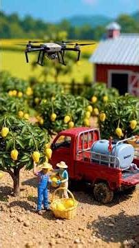 Mini Smart Mango FarmingI Tiny FarmersHarvest & Sell Mangoes | Farm to Market