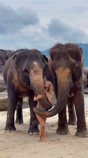 Experience Elephant Beach Adventures in Phuket