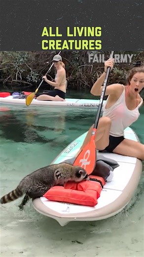 92K views · 640 reactions | FailArmy on Reels | Facebook