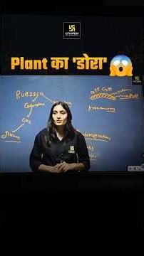 Plant का डोरा #plantbiology #plantbreeding #bscagricultureclasses