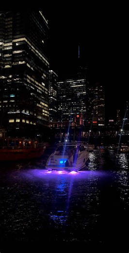 Exploring City Views with Drizzy Drake