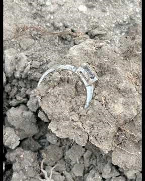 Live Dig Silver 💍 #metaldetecting #treasure
