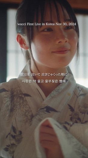 愛は薬 - wacci First Live in Korea 2024