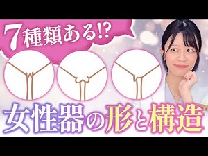 【あなたはどのタイプ？】7種類に分けられるアソコのカタチを徹底解説します！【東大卒婦人科形成医】