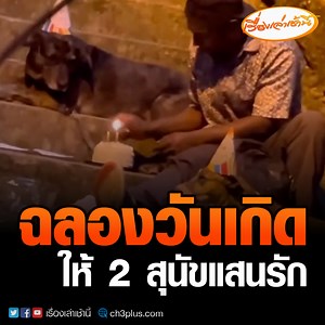 662K views · 59K reactions | ชายไร้บ้านฉลองวันเกิดให้ 2 สุนัขแสนรัก อ่านข่าว : https://ch3plus.com/news/program/273877 #เรื่องเล่าเช้านี้ #CH3Plus #ข่าวช่อง3 | เรื่องเล่าเช้านี้ | Facebook