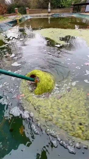 engineerbydesigne on Instagram: "👉 The Million-Dollar Idea Continues — Pool & Interior Transformation (P2) #renovation #cleaning #rebuild #houserenovation #transformation"