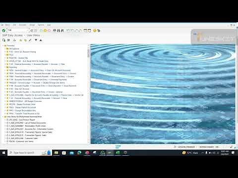 Vendor Clearing in SAP with F-44 Line item