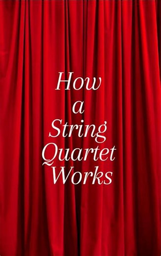 How a String Quartet Works 🎻🎼 | 4 Instruments, 1 Conversation
