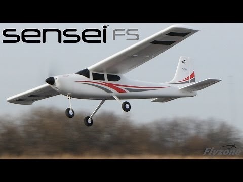 Spotlight: Sensei FS by Flyzone