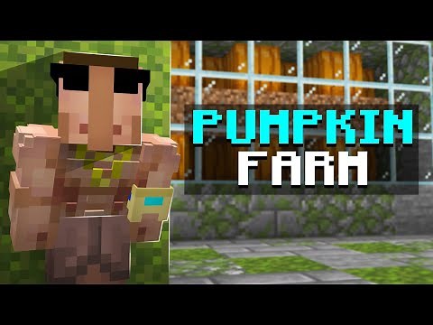 How to Build Pumpkin Farm on The DonutSMP! (NEW META)
