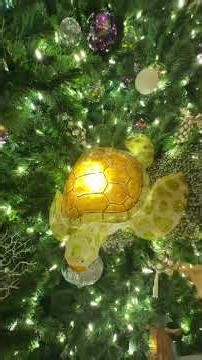 Vero Beach, Florida 🌞 | A Perfect Beach Vacation #VeroBeach#BeachShorts#BeachVibes#FloridaBeaches