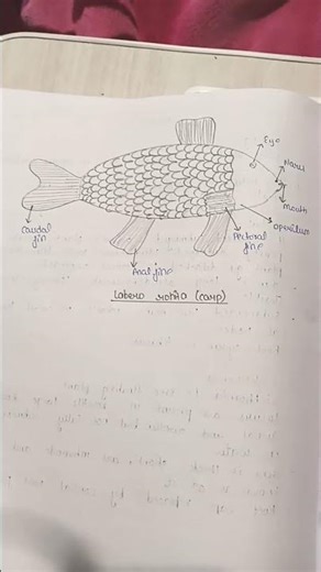 Biology Practical Experiment | Step by Step 🔥 Part - 9