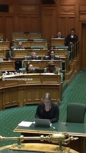 Hīkoi Against Treaty of Waitangi Principals Bill in New Zealand Parliament