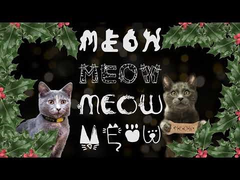 Guster - "Carol of the Meows" [Official Meow Video]