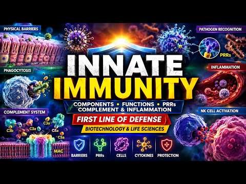 Innate Immunity | Components, Functions, PRRs, Complement & Inflammation| First Line of Defense