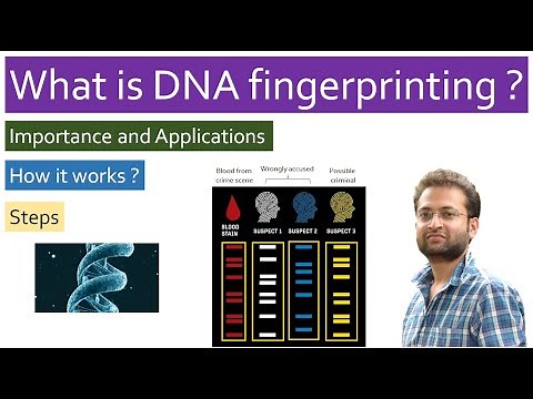 What is DNA fingerprinting? How it works (steps)? What are its applications in humans, plants..