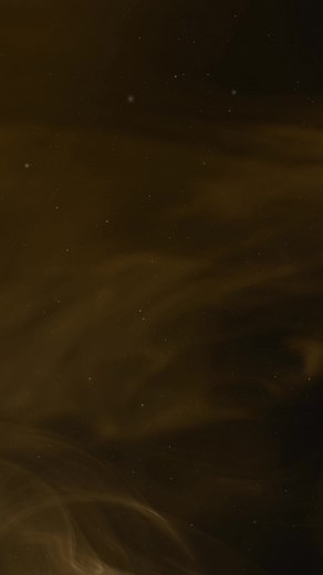 "El Mapache de Canelas" | Los Austeros de Durango