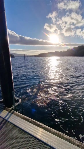 The Christmas Day dip at Lough Allen. A beautiful, bright, choppy day on the lake, squeezed in amongst the busy morning, but very glad to have made the time for it. Dip done! Wishing you all a very merry Christmas.