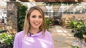 Terrariums are a great way to bring a touch of the outdoors inside your home and are truly a delightful and rewarding experience to both create and watch grow. In this video, Lyndsey shares how to make your own little green ecosystem to enjoy. #merrifieldgardencenter #terrarium #diyterrarium #terrariums | Merrifield Garden Center