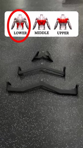 Nbbui Pro Kamal Chhetry ll India 🇮🇳ll Fitness | ✅Grip difference in Seated Row Seated row depends on grip width, “Which part to thicken out” and “Which muscles to emphasize” changes.... | Instagram