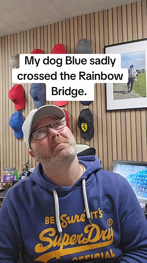 10K views · 400 reactions | Blue at the rainbow bridge. #dog #dogsofinstagram #dogs #angel | Glossyimages | Facebook