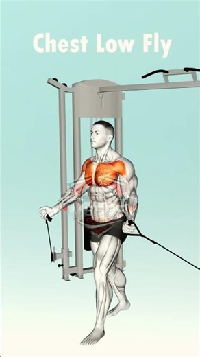 5 Cable Exercises for a Massive Chest 💣