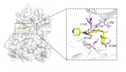 如何用pymol做出可发表级别的相互作用图