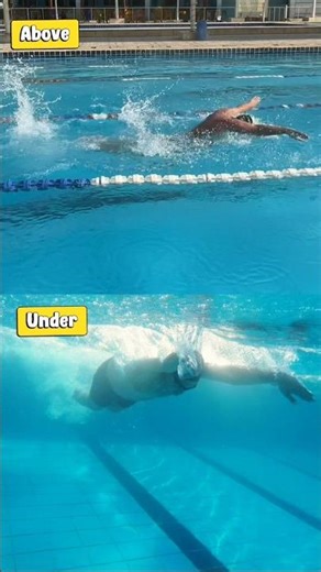 Butterfly Swimming Full Control Underwater