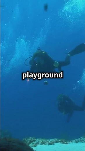 Dive into the Deepest Underwater Caves!