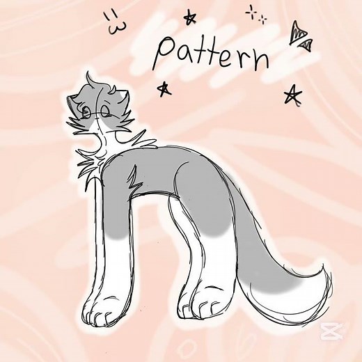 Create your WarriorCats OC! || Pause game ⊹ ࣪ ˖ || #pausegame #ocmaker #warriorcats #oc #fypシ #cats
