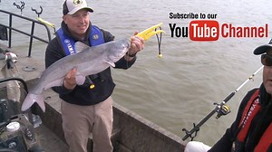 Come along with Scott Turnage and Jeff WIlliams as they target blue catfish on Grand Lake in NE Oklahoma! Lots of fun action and tips in this video! G3 Boats #g3sportsman #teamcatfish #catfishing #fishing #catfishfishing | Team Catfish Tackle