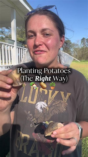 Easy Potato Planting: Tips for Growing Potatoes