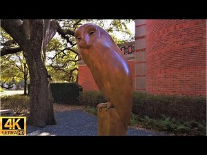 [4K] Rice University Campus Walk | Houston, Texas