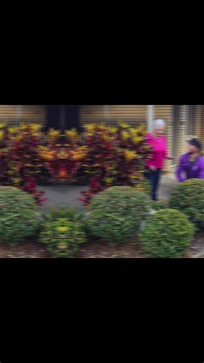 Understanding the 4Ss in Retirement Planning