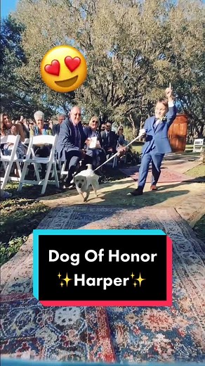 Wedding Pictures with Dogs | Dog of Honor Harper