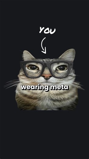Meta Ray-Ban Privacy
