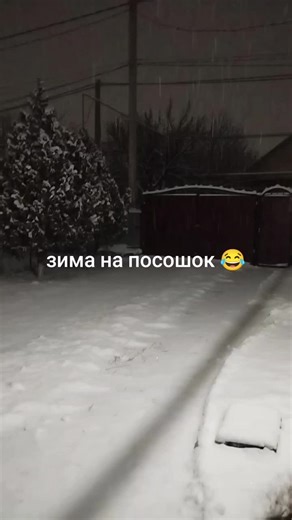 alena.flower👑 (@alena.flower)’s videos with оригинальный звук - Дима Шумилов