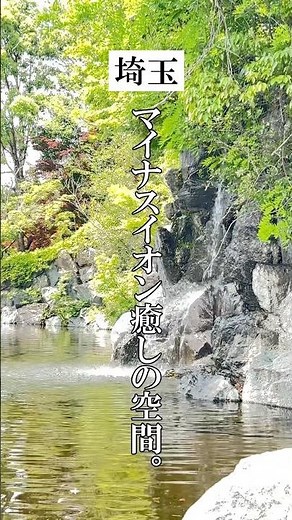 癒やしの水音。埼玉で心ほどける初夏の散歩。#おでかけ #公園 #上尾丸山公園