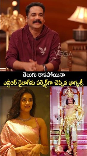 ఎన్టీఆర్ డైలాగ్‌ను పర్ఫెక్ట్‌గా చెప్పిన భాగ్యశ్రీ #srntr #bhagyashree #bhagyashriborse #shorts #yt