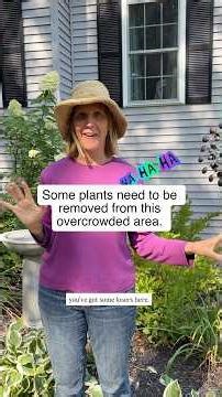 This Are Is Overcrowded. Here’s What I Would Do