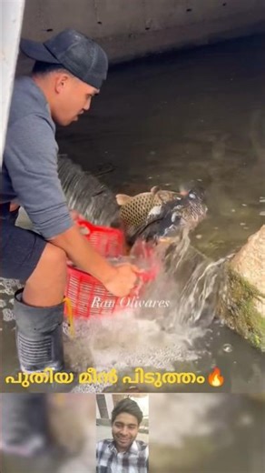 പുതിയ മീൻ പിടുത്തം #mallutraveler#fishingfreaks #shortsX#mallu#malayalam#m4tech