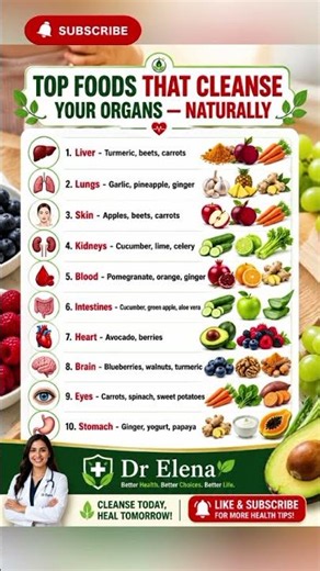 10 Nutrient-Rich Foods That Support Your Organs Naturally