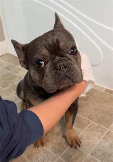 Before bed we freshen up ✨ | Giving My Dog A Bath