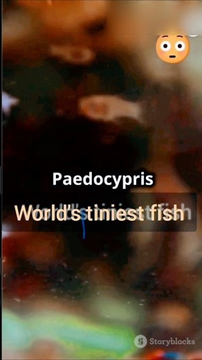 Meet the Tiniest animals on earth ||smallest creatures || Smallest animals #trendingshorts #movie