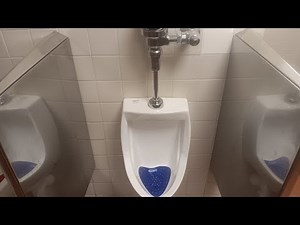 American Standard EVERCLEAN. How to clean.