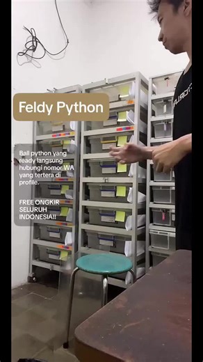 #tiktoklive #livehighlights